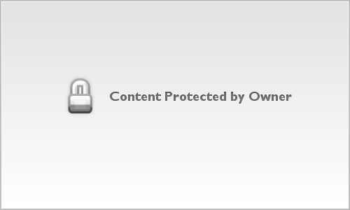 York-Scampton | Engagement 2025